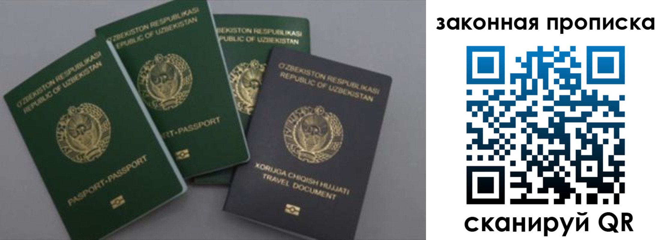 временная регистрация для школы в Струнино